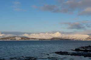 All-Inclusive Arctic Fjords and Sommarøy Scenic Tour - The Kvaløya Stretch: Fjords, Mountains, and Wildlife Odds