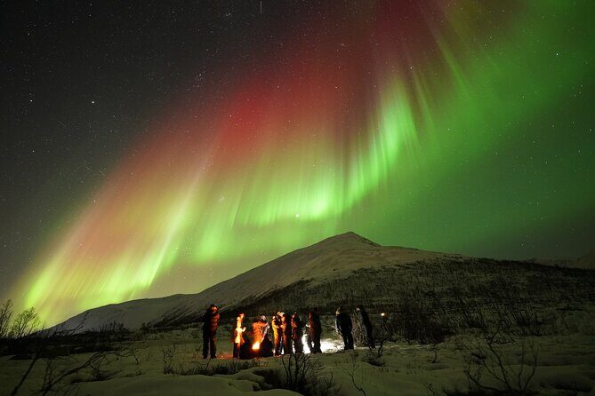 Aurora tour with free portrait and bonfire - Chasing Aurora From Tromsø’s City Center