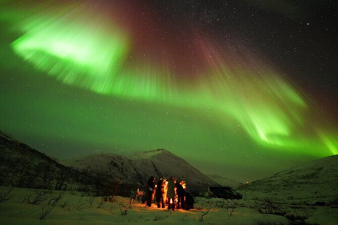Aurora tour with free portrait and bonfire - The Free Aurora Portrait: Why It’s More Than a Photo Perk