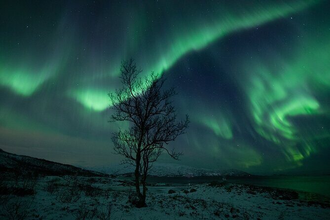 Auroras Hunt - Tour in Spanish, Northern Lights Chase in Spanish - Aurora watching and guided portrait photos: how the photography help works