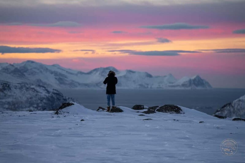 From Tromsø: Arctic Roadtrip: fjords tour with scenic picnic - Professional photos: the easiest souvenir you’ll be glad you bought