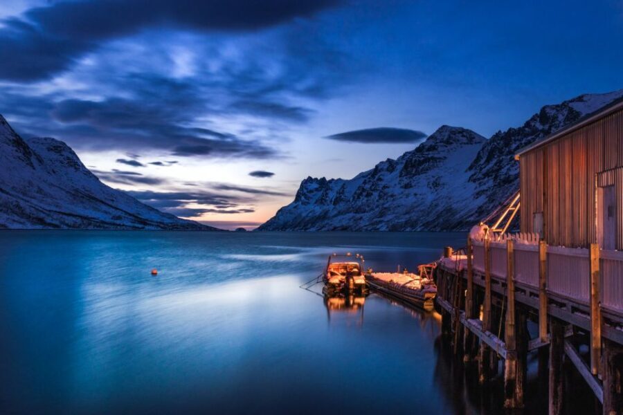 From Tromsø: Arctic Wildlife & Fjord Sightseeing Tour by Car - Kvaløysletta and Stakken: First Views You Can Actually Use