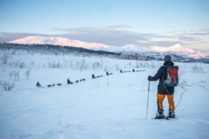 From Tromsø: Guided Husky Snowshoe Hike and Husky Camp Visit - Meeting the Huskies and Puppies: Why This Camp Time Is the Main Event