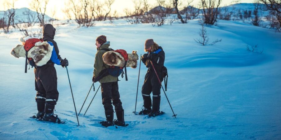 From Tromsø: Guided Husky Snowshoe Hike and Husky Camp Visit - Working Husky Walking: What to Expect When a Dog Joins Your Snowshoe Steps