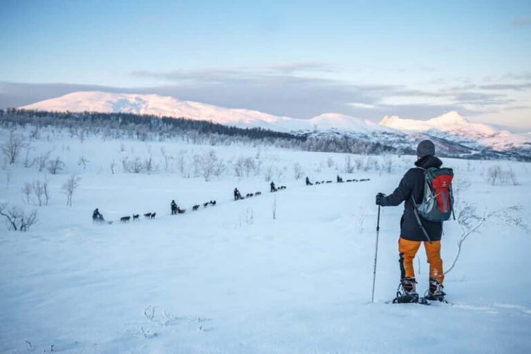 From Tromsø: Guided Husky Snowshoe Hike and Husky Camp Visit - Meeting the Huskies and Puppies: Why This Camp Time Is the Main Event