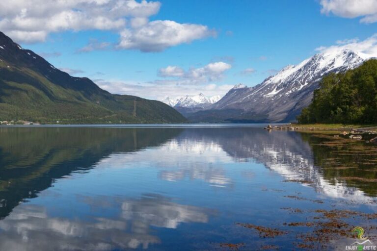 From Tromso: Norwegian Fjords Half-Day Tour - Kvaløya (Whale Island): why this is the core of the fjords