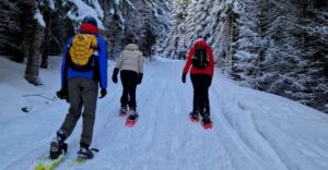 From Tromsø: Snowshoe Hike in the Arctic - The Ersfjordbotn snowshoe hike: how the 3 hours actually works