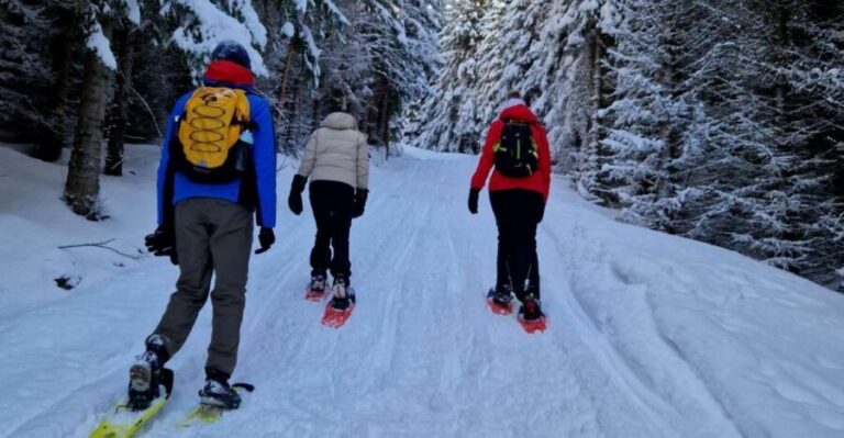 From Tromsø: Snowshoe Hike in the Arctic - The Ersfjordbotn snowshoe hike: how the 3 hours actually works