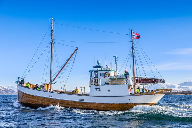 Half-Day Fishing & Fjord Cruise Adventure from Tromsø in Norway - The 4.5-Hour Tromsø Plan: How the Timing Works