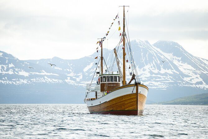 Half-Day Fishing & Fjord Cruise Adventure from Tromsø in Norway - Arctic Cathedral, Tromsø Bridge, and the Fjords Segment