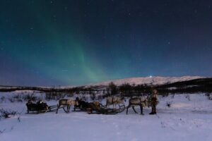Overnight Stay with Reindeer Sledding & Feeding - Reindeer Sledding and Feeding: The Fun Part With Real Instructions
