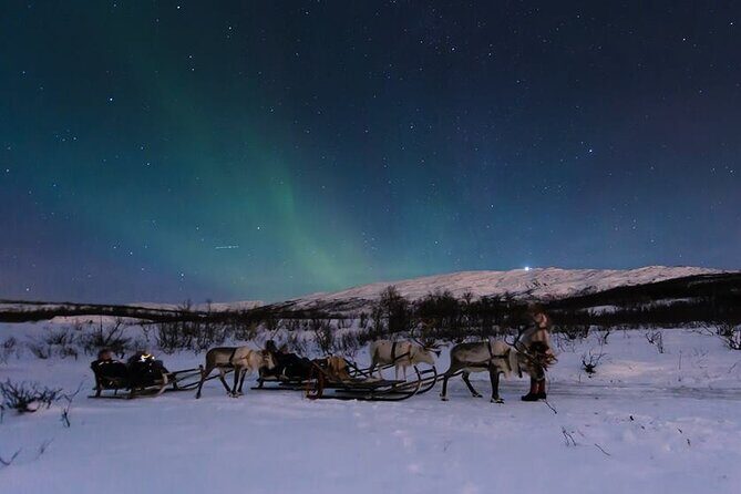 Overnight Stay with Reindeer Sledding & Feeding - Reindeer Sledding and Feeding: The Fun Part With Real Instructions