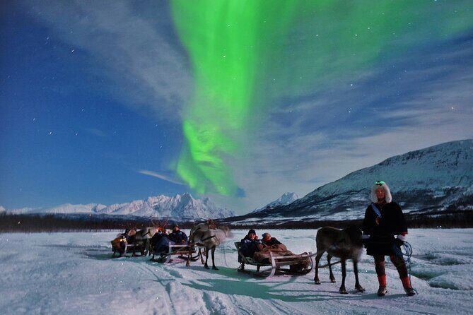 Reindeer Sledding and Feeding with Chance of Northern Lights Tromso - Pickup at Fredrik Langes gate 4 and the 4–5 Hour Night Flow