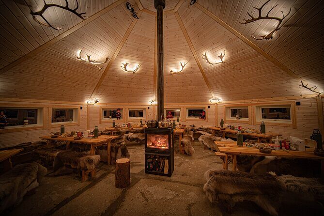 Reindeer Sledding and Feeding with Chance of Northern Lights Tromso - Northern Lights Watching Outside Tromsø: Your Best Chances and the Real Odds