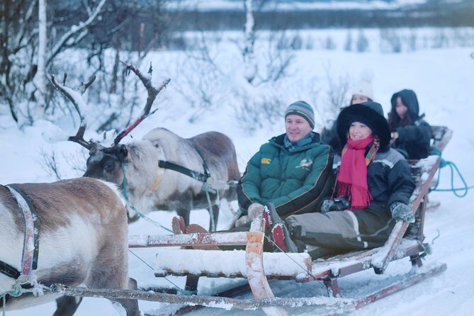 Reindeer Sledding and Feeding with Sami Culture in Tromso. - Meet the reindeer and Sámi guides: what the camp time feels like