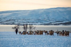 Reindeer Sledding Experience and Sami Culture Tour from Tromso - The 30-minute sleigh ride: what it feels like and how it’s run