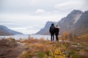 Small Group Arctic Fjords Road trip with Scenic Picnic - Your drive toward Kvaløya: where to focus for roaming wildlife