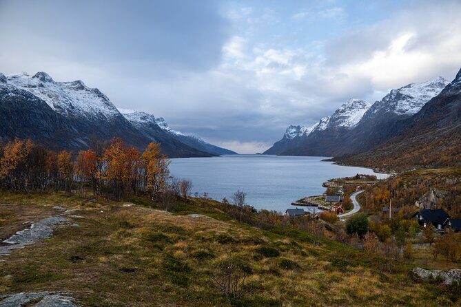 Small Group Arctic Fjords Road trip with Scenic Picnic - Price and value: what $161.84 buys you in Tromsø