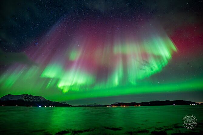 Small Group Van Journey in Search of the Northern Lights - Aurora coaching you can use: tripods, headlamps, and real technique