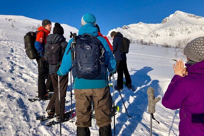 Snowshoe Hill Hike in Tromsø - Stop moments: how the day breaks up your effort