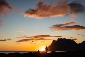 Tour of the authentic fjords of Kvaløya - Ersfjorden viewpoints: where the photos actually happen
