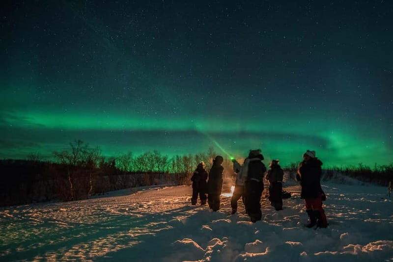 Tromsø: Adult Only Aurora hunt with Citizen Science - Key highlights at a glance