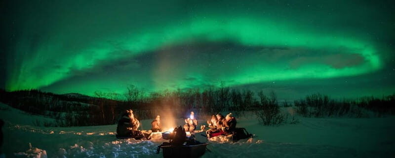 Tromsø: Adult Only Aurora hunt with Citizen Science - The citizen science part: contributing data while you look up