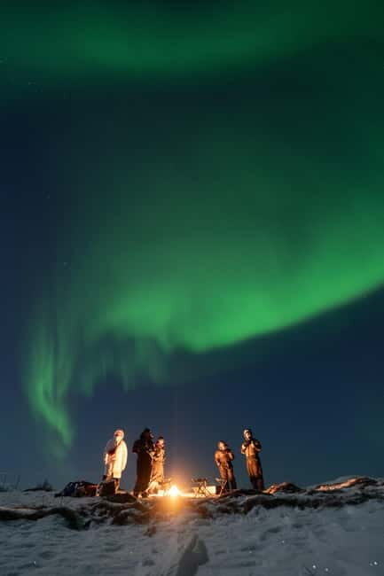 Tromsø: Adult Only Aurora hunt with Citizen Science - Price and value: is $279 a fair deal for this mix?