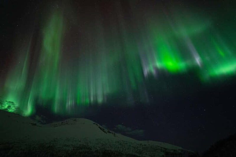 Tromsø: Adult Only Aurora hunt with Citizen Science - Tips to get the most out of your aurora hunt night
