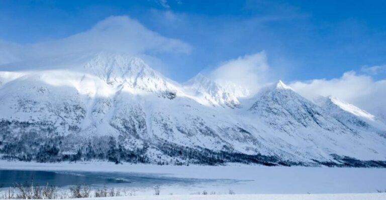 Tromsø: Arctic Landscape and Fjord Tour with Snacks - Meeting at Tromsø Tourist Shop and the rhythm of a 5-hour day