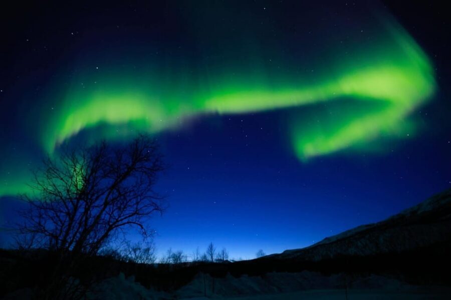 Tromsø Chinese Aurora Tour - Should You Book the Tromsø Chinese Aurora Tour?