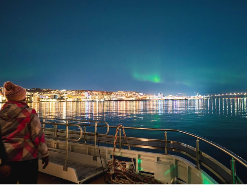 Tromsø: Electric Northern Lights Cruise - Who This Cruise Suits Best (And Who Might Prefer Another Option)