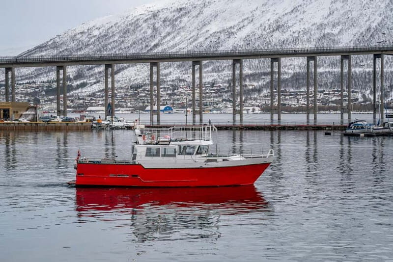 Tromsø: Fishing Sea Safari - Fishing for Cod in Northern Norway, With Real Coaching