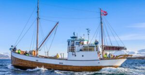 Tromsø: Fjord History Cruise with Snack and Drinks - Tromsø Sound, fjords, and islands: what you’ll see from the sea side