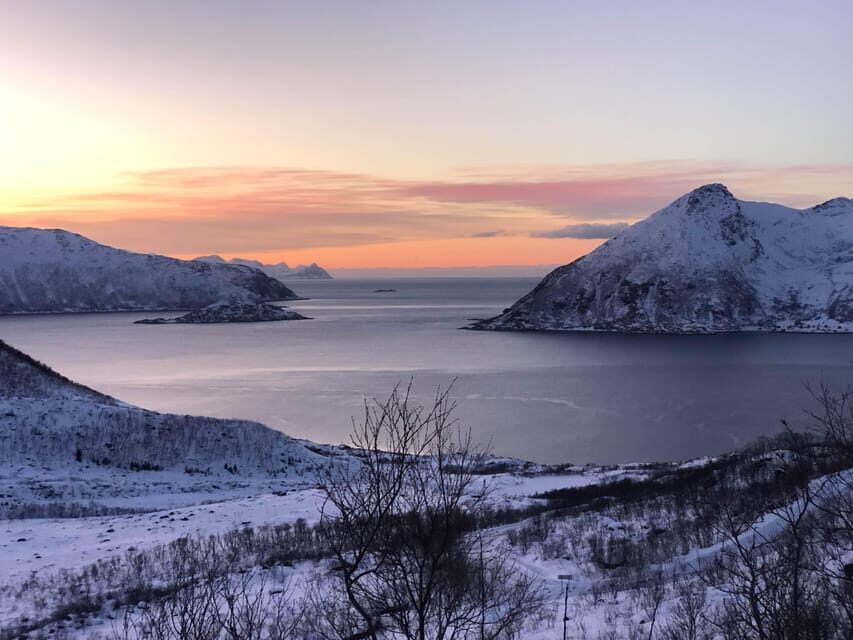 Tromsø: Fjords & Beaches Tour with Campfire and Arctic Food - Price and value: why $304 can make sense here