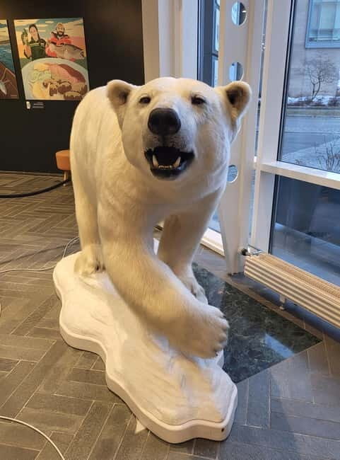 Tromsø: Guided Polar Bear Walk incl. Polaria & Polar Museum - What to bring so the tour feels easy