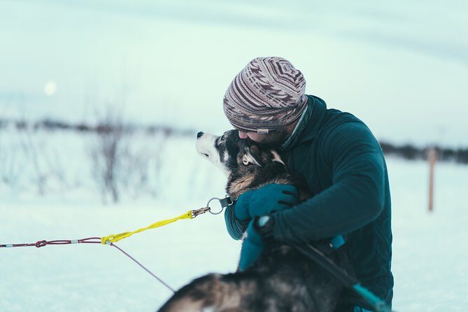 Tromso Husky Self-Drive Sledding with Cake and Drink in Lavvu - Self-drive training: sharing control and handling the sled in pairs