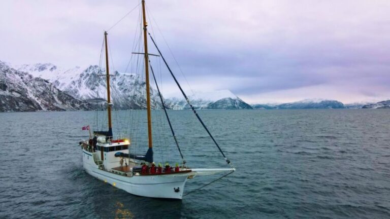 Tromsø: Luxury Polar Fjord Cruise w/ Hot Tub & Polar Plunge - The Balsfjorden Route: Why Weather and Wildlife Change the Plan