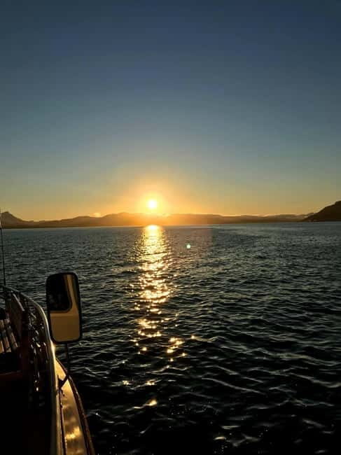 Tromsø: Midnight Sightseeing Cruise All-inclusive - Key points worth your attention