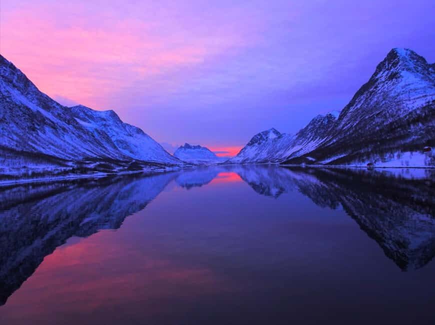 Tromsø: Midnight Sightseeing Cruise All-inclusive - Tromsø at midnight: why this fjord cruise feels different