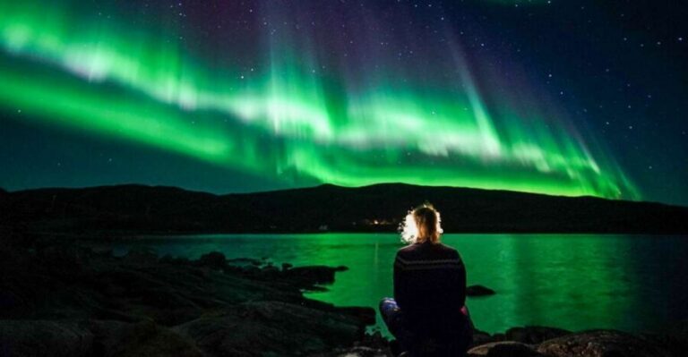Tromsø: Northern Lights Chase Minibus Tour - Start times and the main pier meeting point