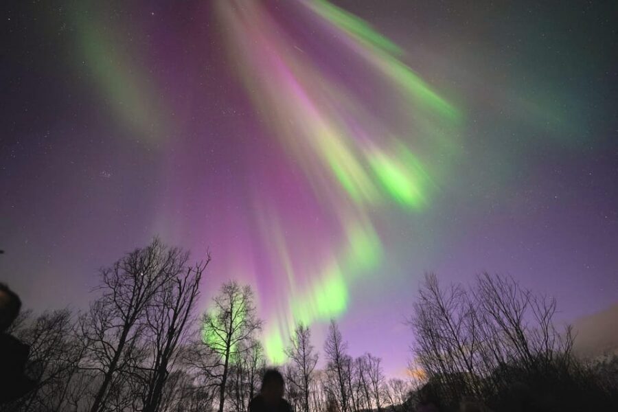 Tromso: Northern Lights Minibus Tour with Campfire - Warmth on Demand: Thermal Suits, Boots, and Hot Drinks