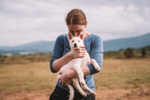 Tromsø: Puppy Training at the Husky Kennel with Lunch - Puppy training you can actually picture: 4 weeks to adolescence