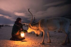 Tromsø: Reindeer Sled, Dinner, and Chance of Northern Lights - Getting from Tromsø pickup to the Sami camp: what your evening schedule looks like