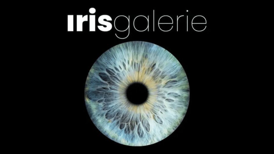 Tromsø: Reveal Your Eye Experience at the Iris Galerie - Inside Iris Galerie: what happens during your iris revelation