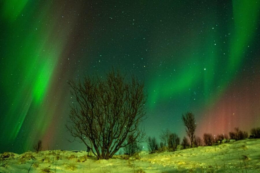 Tromsø: Small-Group Adventurous Northern Lights Hunt - Key Things That Make This Tromsø Aurora Hunt Different