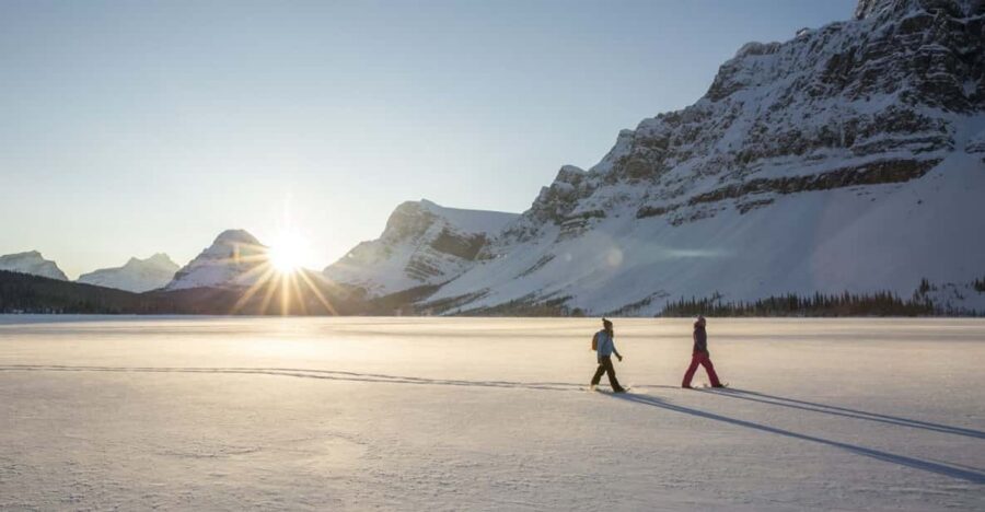Tromsø: Snowshoeing in Scenic Landscape - The 3-Hour Timeline: How the Walk Usually Flows