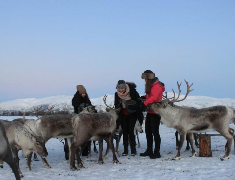 Tromsø: Snowshoeing Tour & Reindeer Encounter with Lunch - Key Things That Make This Tromsø Tour Worth It
