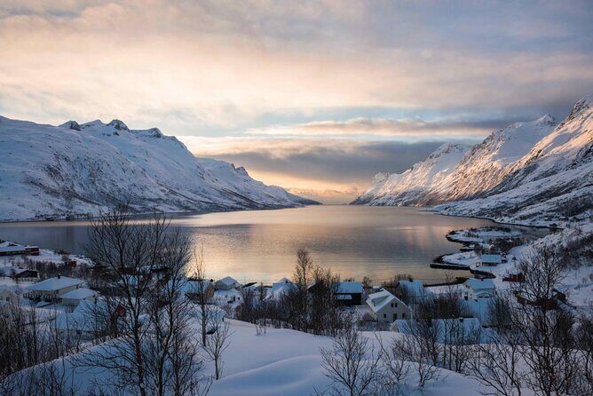 Winter Fjord Road Trip with Wandering Owl - Why Kvaløya fjords feel different in winter