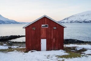 Winter Fjord Road Trip with Wandering Owl - The half-day timing: perfect for limited time, not for a long expedition
